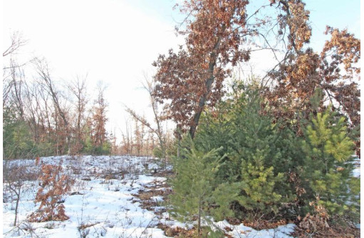 LOT10 Spruce Trail, Spring Green, WI 53588