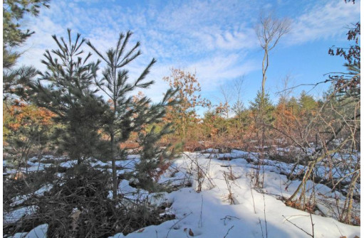 LOT10 Spruce Trail, Spring Green, WI 53588