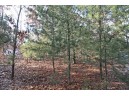 LOT10 Spruce Trail, Spring Green, WI 53588