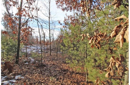 LOT10 Spruce Trail, Spring Green, WI 53588