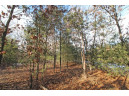 LOT10 Spruce Trail, Spring Green, WI 53588