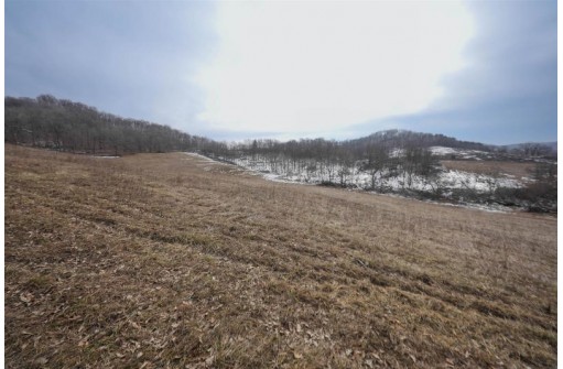 54.50AC Shellington Drive, Richland Center, WI 53581