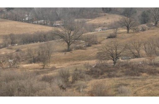 54.50AC Shellington Drive, Richland Center, WI 53581