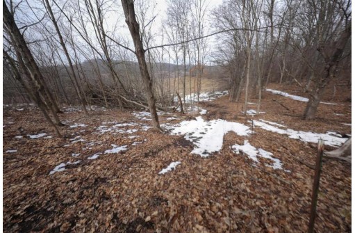 54.50AC Shellington Drive, Richland Center, WI 53581