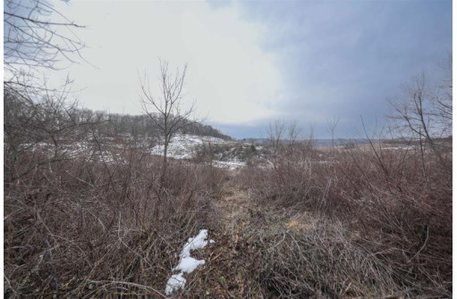 54.50AC Shellington Drive, Richland Center, WI 53581