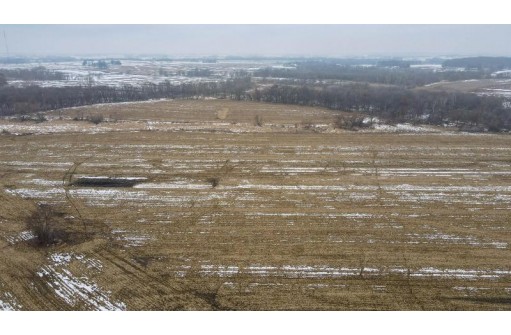 53 ACRES Highway 60, Columbus, WI 53925