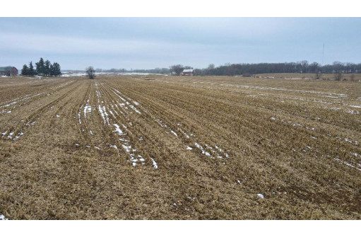 53 ACRES Highway 60, Columbus, WI 53925