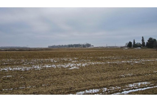 53 ACRES Highway 60, Columbus, WI 53925