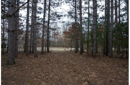 LOT 7 Ember Drive, Adams, WI 53910