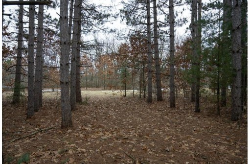 LOT 7 Ember Drive, Adams, WI 53910