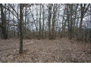 LOT 7 Ember Drive, Adams, WI 53910