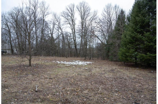 LOT 9 Ember Drive, Adams, WI 53910