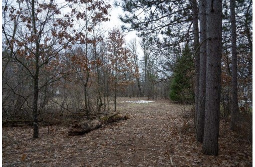 LOT 9 Ember Drive, Adams, WI 53910