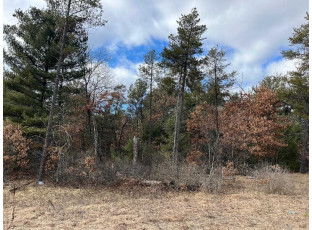 LOT 62 Blackhawk Court Hancock, WI 54943