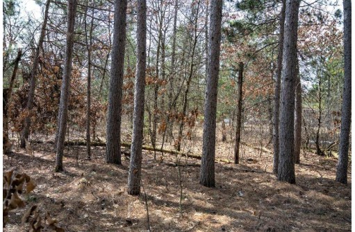 LOT 204 Raven Drive, New Lisbon, WI 53950