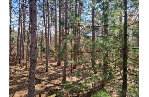 LOT 204 Raven Drive, New Lisbon, WI 53950