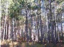 LOT 204 Raven Drive, New Lisbon, WI 53950