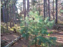 LOT 204 Raven Drive, New Lisbon, WI 53950