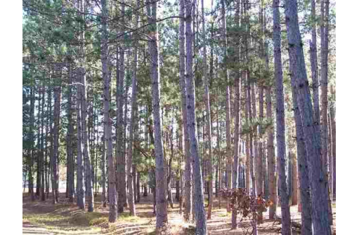 LOT 204 Raven Drive, New Lisbon, WI 53950