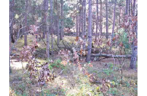 LOT 204 Raven Drive, New Lisbon, WI 53950