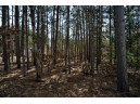 LOT 204 Raven Drive, New Lisbon, WI 53950