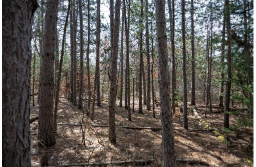 LOT 204 Raven Drive, New Lisbon, WI 53950