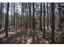 LOT 204 Raven Drive, New Lisbon, WI 53950