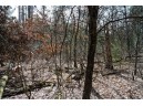 LOT 204 Raven Drive, New Lisbon, WI 53950