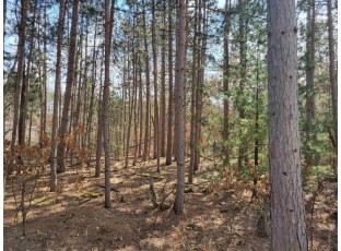 LOT 204 Raven Drive New Lisbon, WI 53950