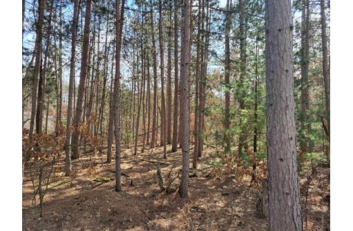 LOT 204 Raven Drive, New Lisbon, WI 53950