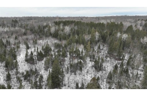 35.9 AC Minnow Creek Road, Glidden, WI 54527