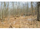 40 ACRES County Road D, Rock Springs, WI 53961