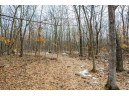 40 ACRES County Road D, Rock Springs, WI 53961