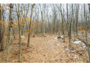 40 ACRES County Road D, Rock Springs, WI 53961