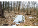 40 ACRES County Road D, Rock Springs, WI 53961