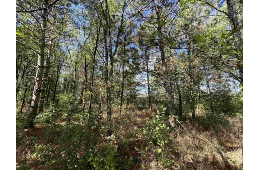 50.25AC Highway 22, Pardeeville, WI 53954