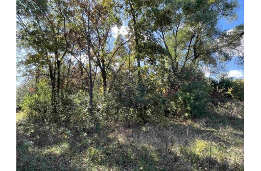 50.25AC Highway 22, Pardeeville, WI 53954