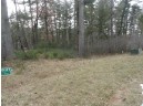 LOT 61 Fly Rod Trail, Wisconsin Rapids, WI 54494