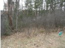 LOT 61 Fly Rod Trail, Wisconsin Rapids, WI 54494