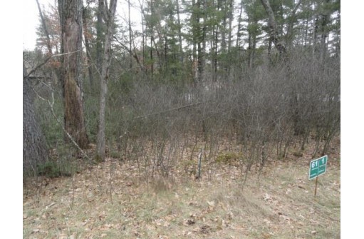 LOT 61 Fly Rod Trail, Wisconsin Rapids, WI 54494