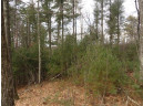 LOT 61 Fly Rod Trail, Wisconsin Rapids, WI 54494