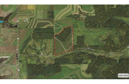 49 AC Gault Valley Road, Hillsboro, WI 54634