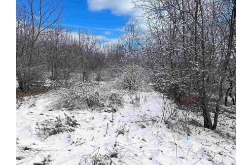 49 AC Gault Valley Road, Hillsboro, WI 54634