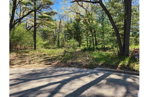 LOT 140 Crest Court, Wisconsin Dells, WI 53965