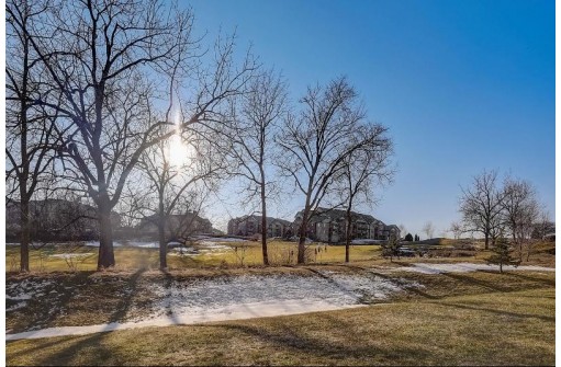 9045 Hawks Reserve Lane 203, Verona, WI 53593