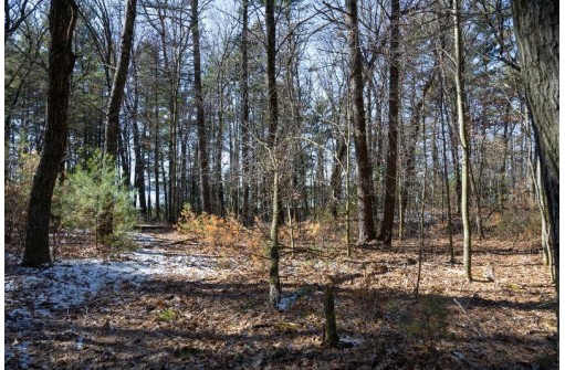 LOT 6 19th Pass, Arkdale, WI 54613