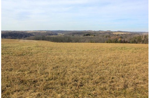 46.38AC Roddick Lane, Platteville, WI 53818