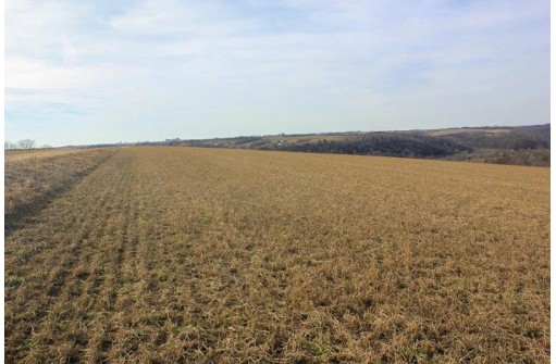 46.38AC Roddick Lane, Platteville, WI 53818