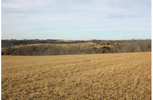 46.38AC Roddick Lane, Platteville, WI 53818