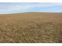 46.38AC Roddick Lane, Platteville, WI 53818